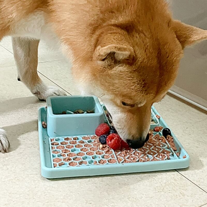 Multifunctional Food Mat