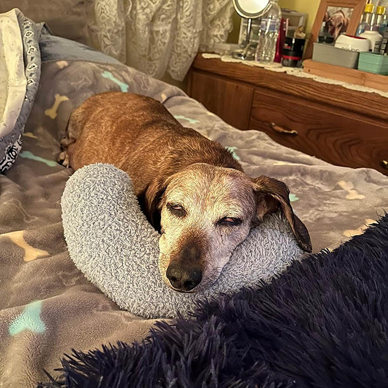 Cozy Calming Pillow