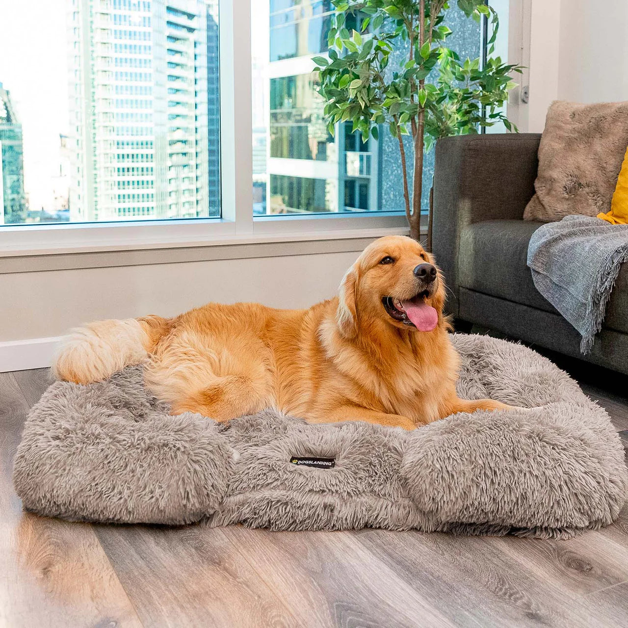 FidoFaves Calming Sofa