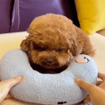 Cozy Calming Pillow