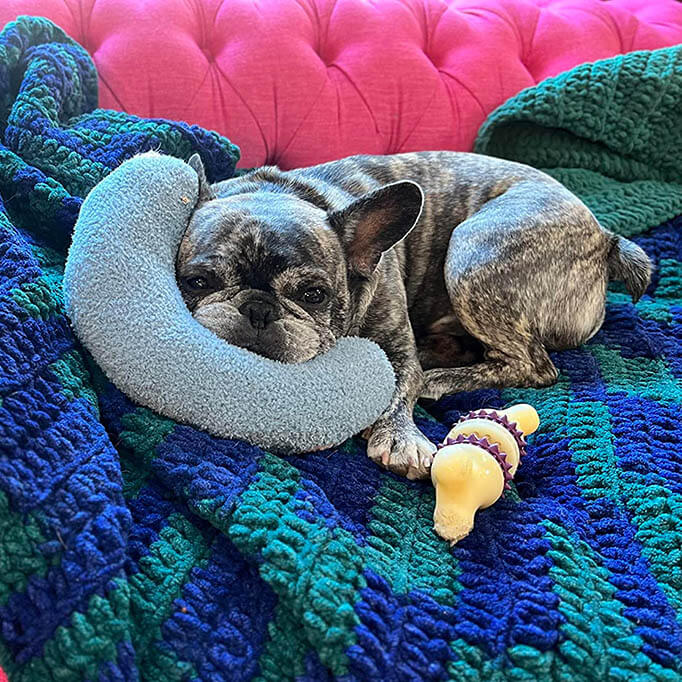 Cozy Calming Pillow