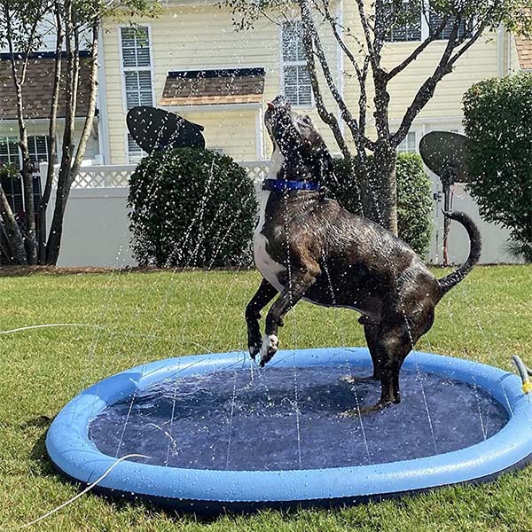 FidoSplash™ The splash pad that makes your pup glad! FidoFaves