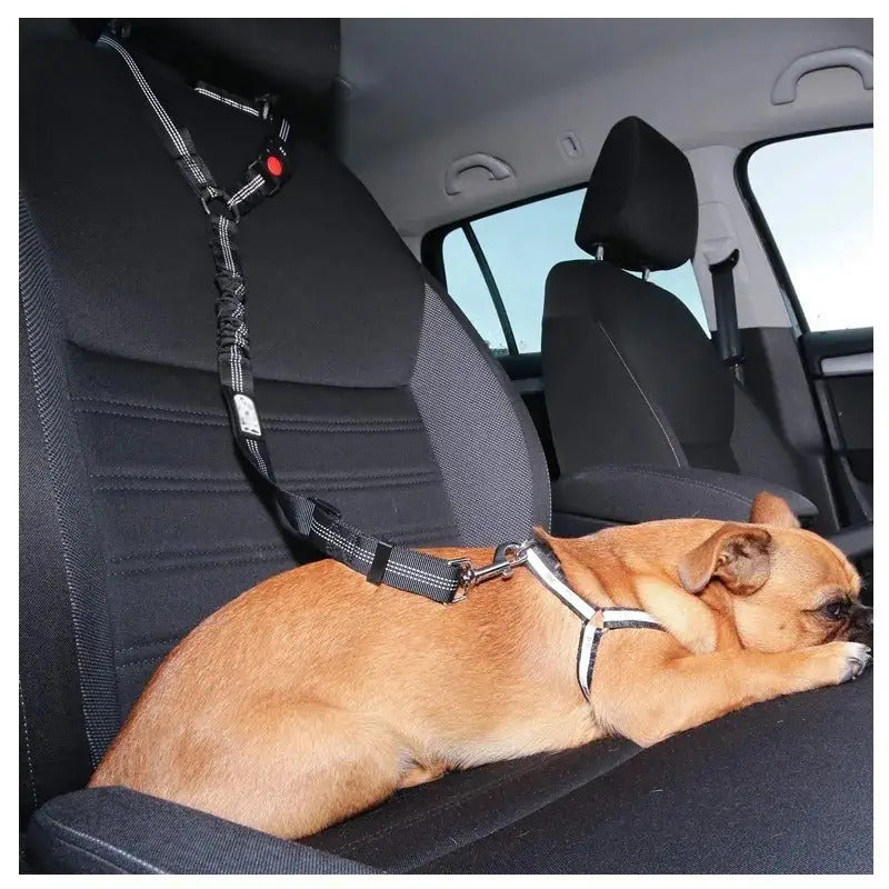 2-in-1 Safety Belt