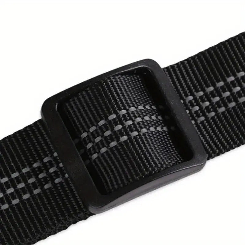 2-in-1 Safety Belt