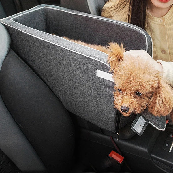 SafeRide™ - Stress-Free Journeys with Your Furry Pal!