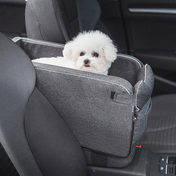 SafeRide™ - Stress-Free Journeys with Your Furry Pal!