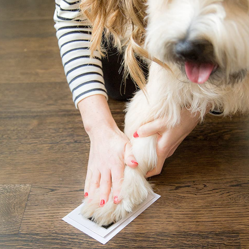 Paw Print Stamp Pads