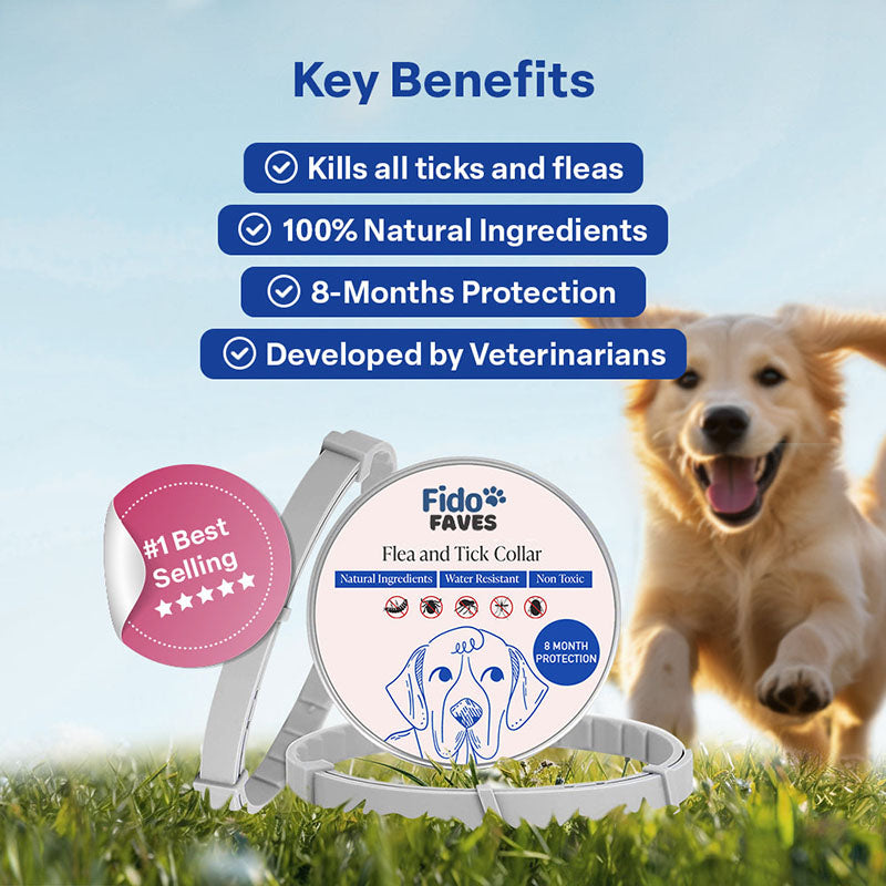 Best natural flea and tick collar best sale