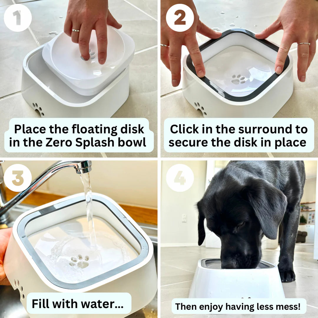 Zero Mess Dog Water Bowl
