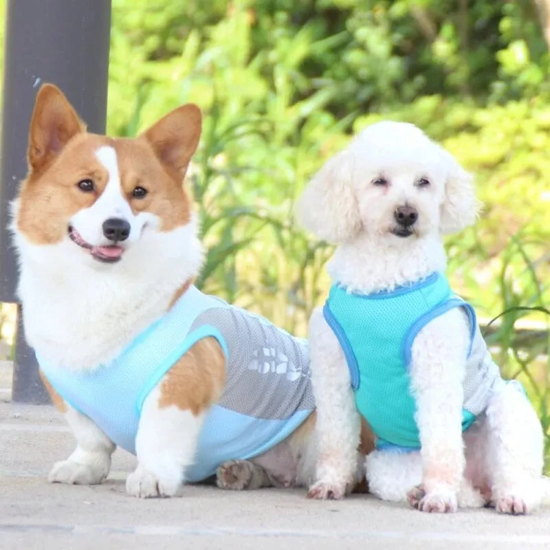 Fido Ice Vest