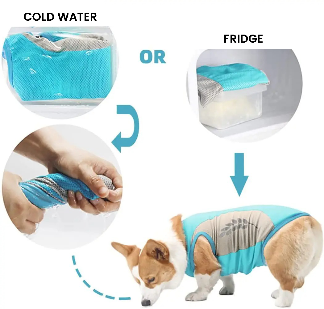 Fido Ice Vest