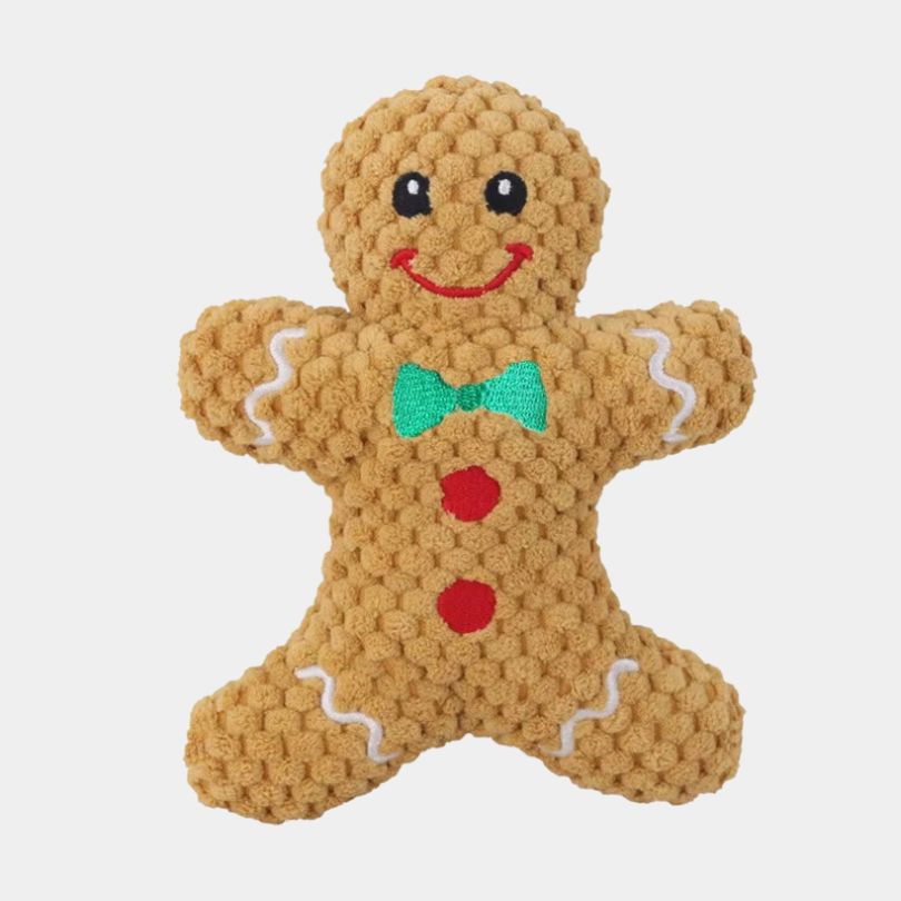 Gingy the Gingerbread Pal