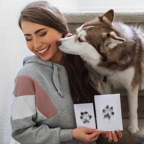 Paw Print Stamp Pads