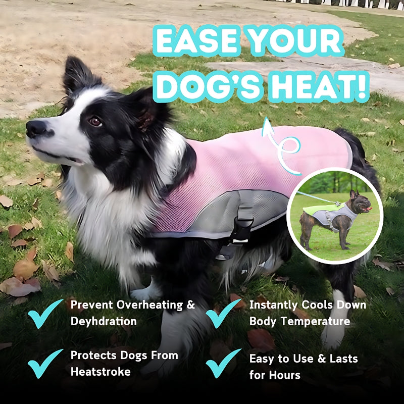 Fido Cooling Vest