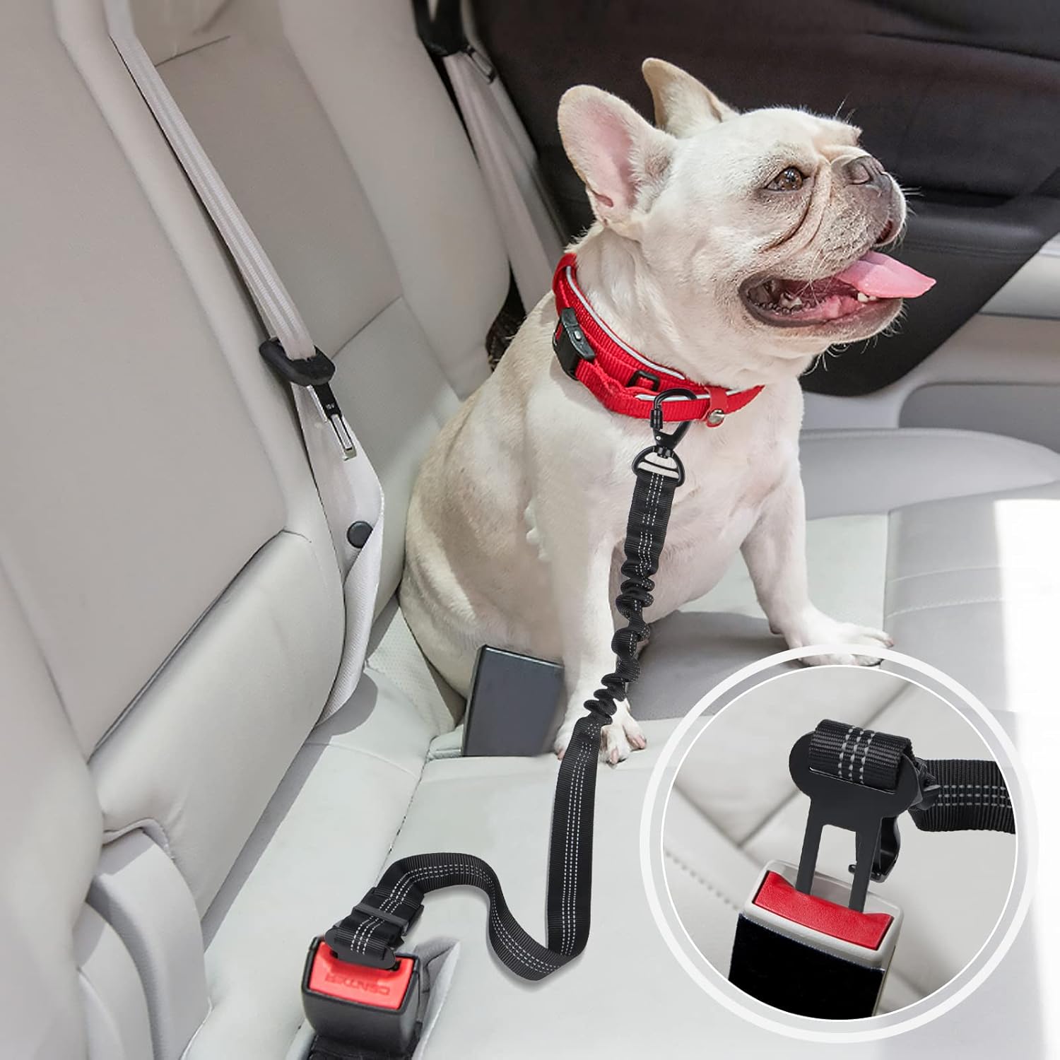 2-in-1 Safety Belt