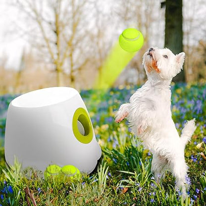 Fido Automatic Ball Launcher