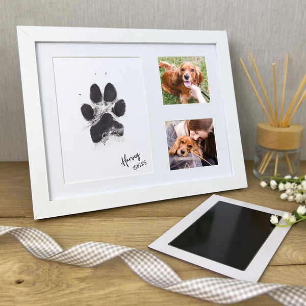 Paw Print Stamp Pads