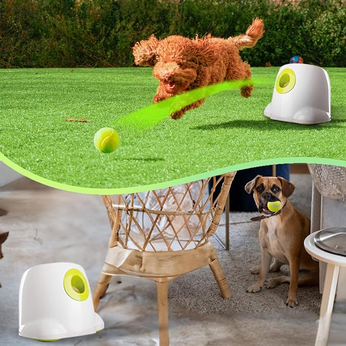 Fido Automatic Ball Launcher