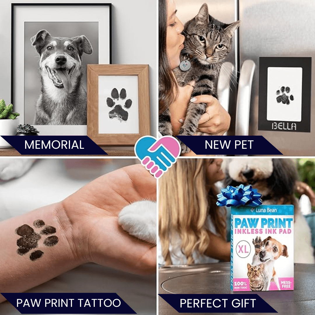 Paw Print Stamp Pads