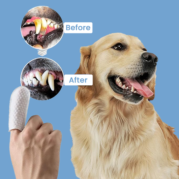 SmilePup™️ - healthy teeth in just 30 seconds