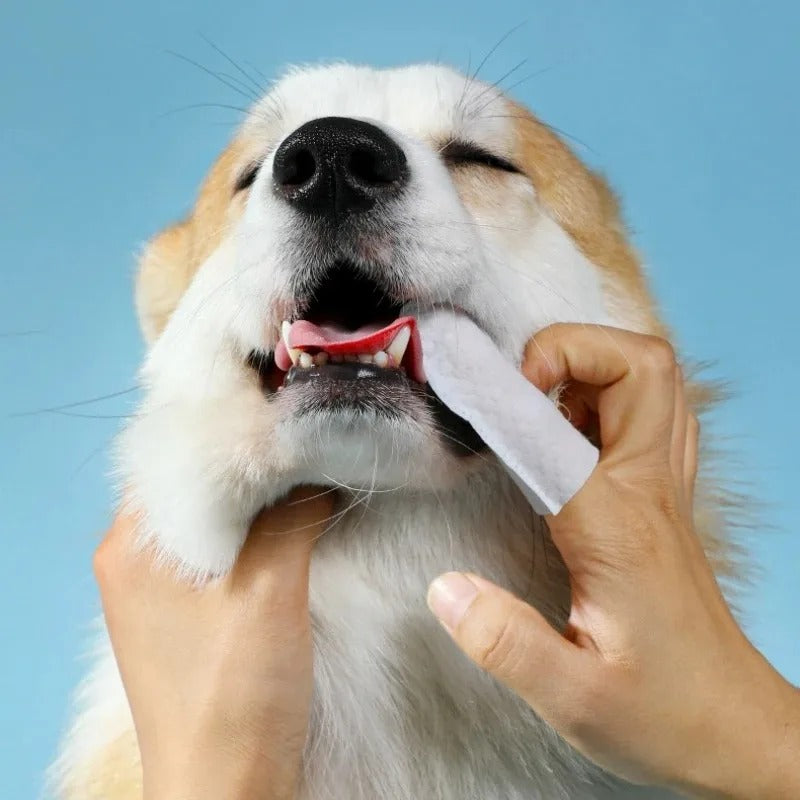 SmilePup™️ - healthy teeth in 30 seconds