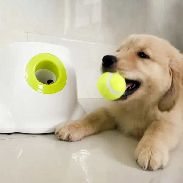 Fido Automatic Ball Launcher