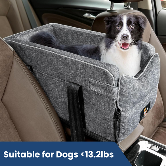 SafeRide™ - Stress-Free Journeys with Your Furry Pal!