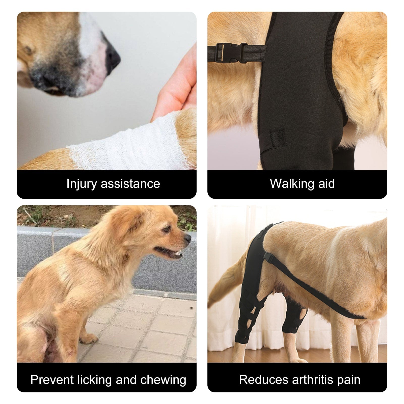 FidoHeal Mobility Brace