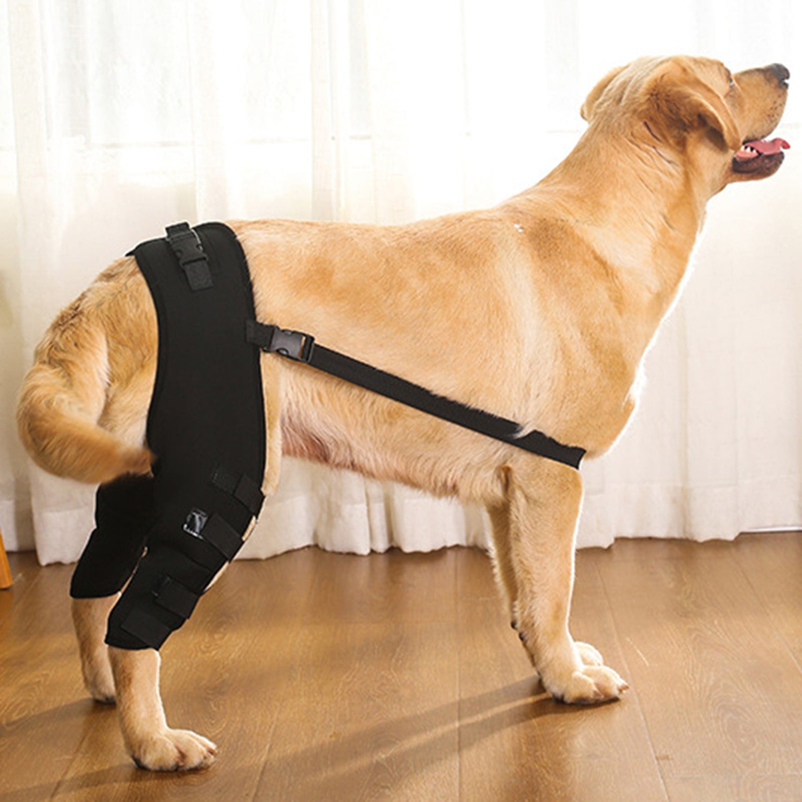 FidoHeal Mobility Brace