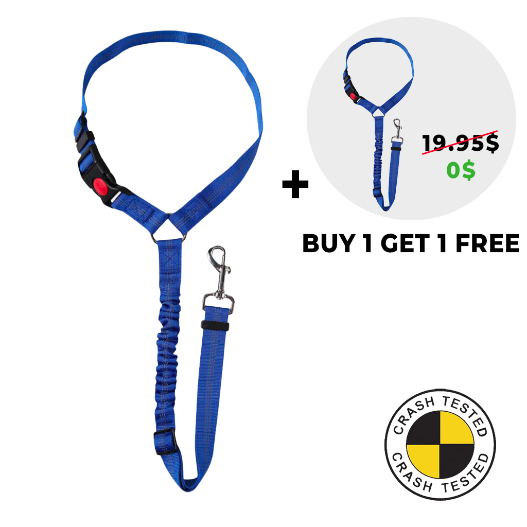 2-in-1 Safety Belt