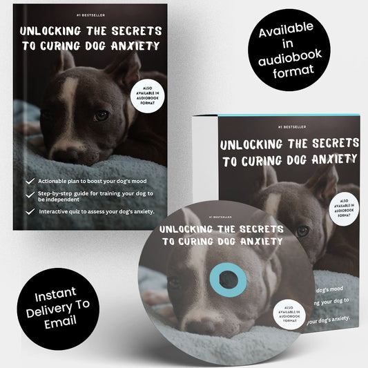 Unlocking the Secrets to Curing Dog Anxiety