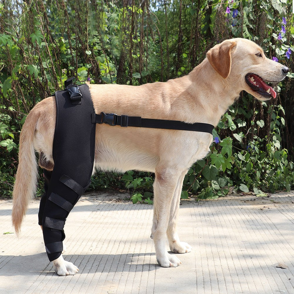 FidoHeal Mobility Brace