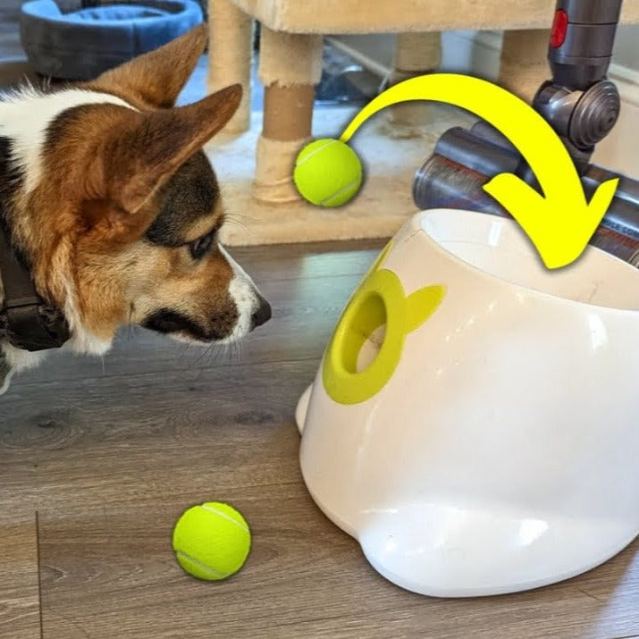 Fido Automatic Ball Launcher