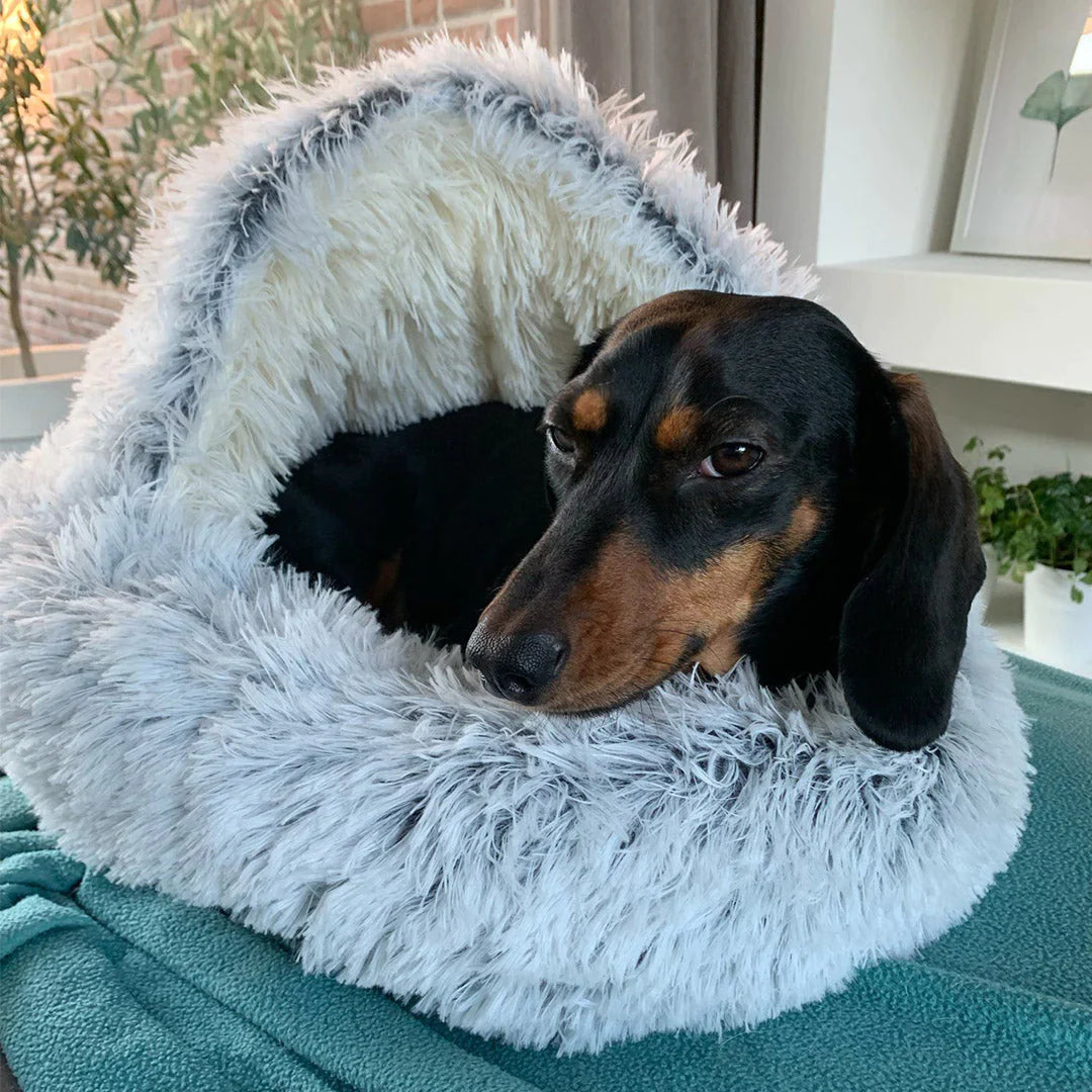 CozyCove Premium Pet Bed
