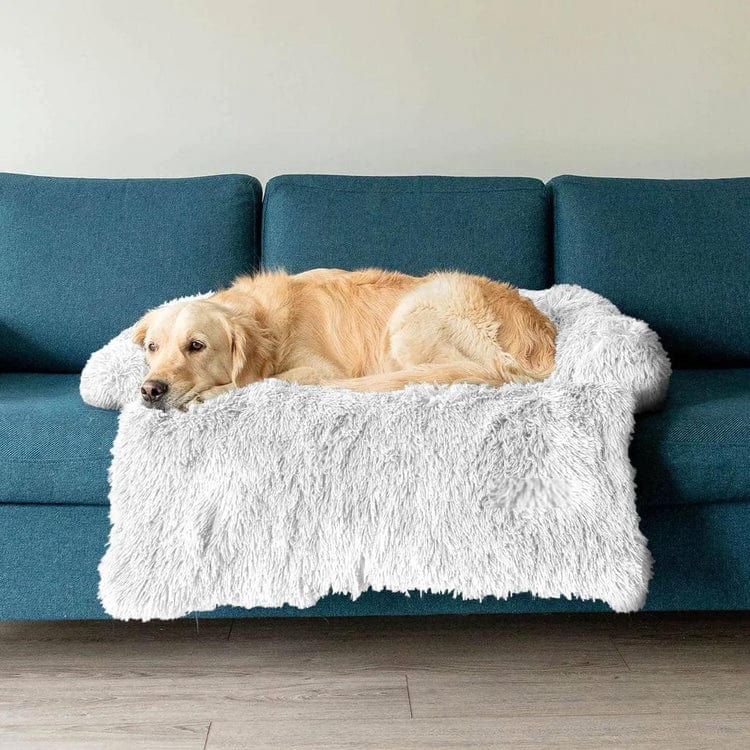 FidoFaves Calming Furniture Protector