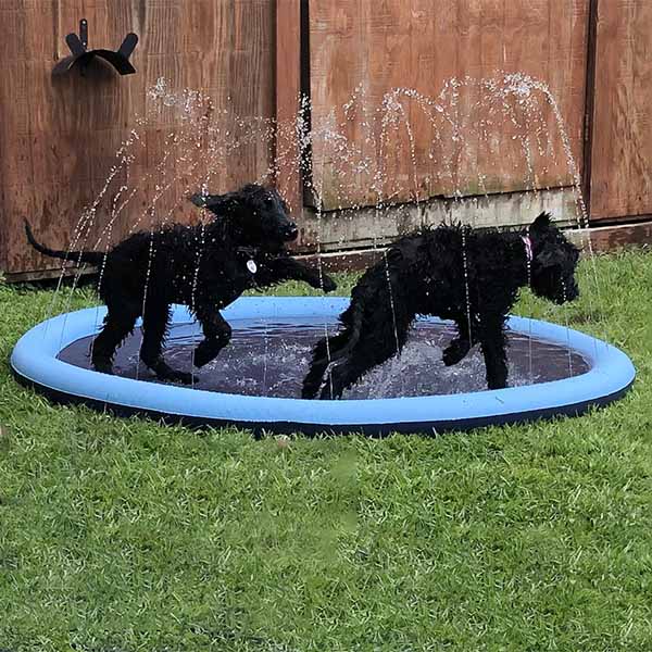 FidoSplash™ The splash pad that makes your pup glad! FidoFaves