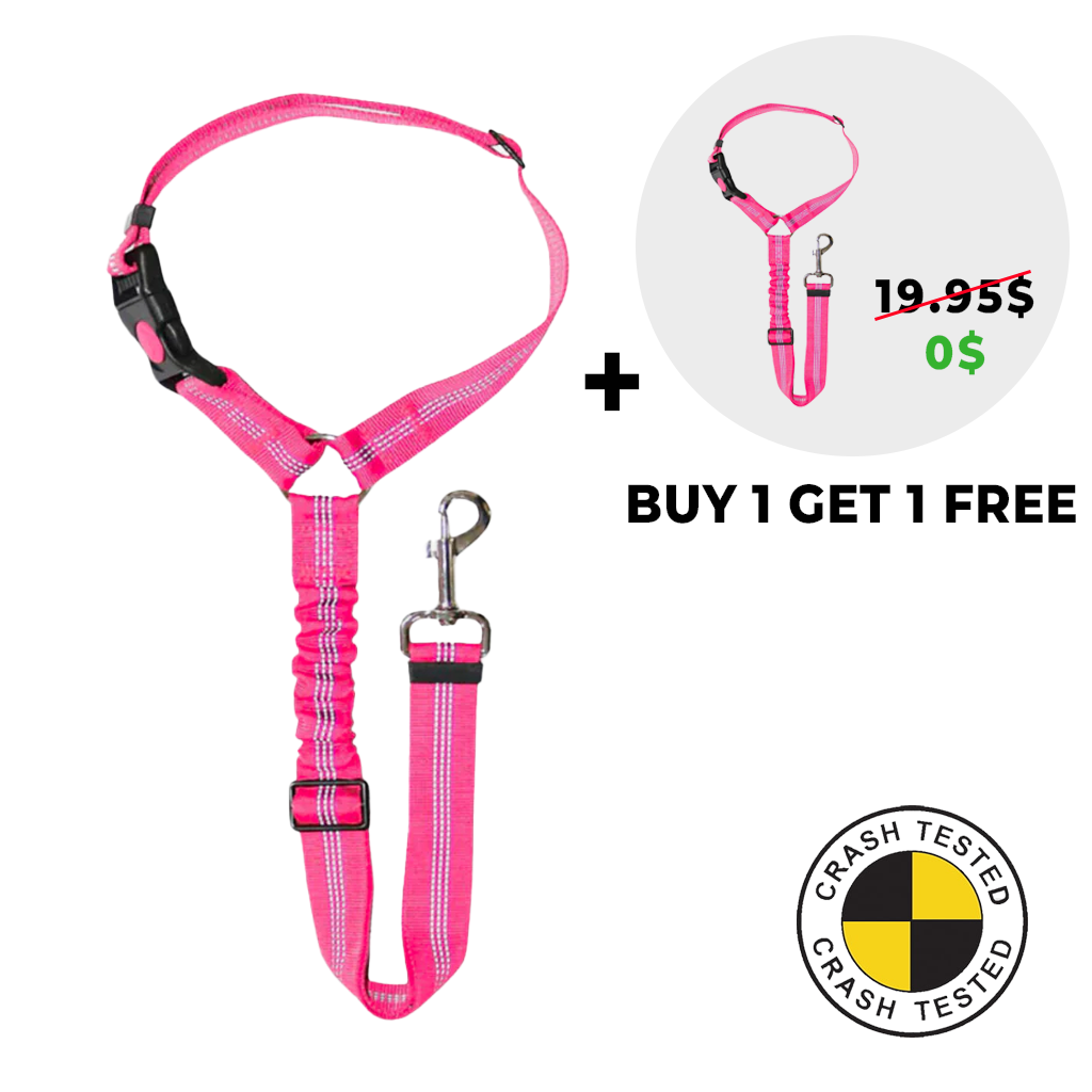 2-in-1 Safety Belt