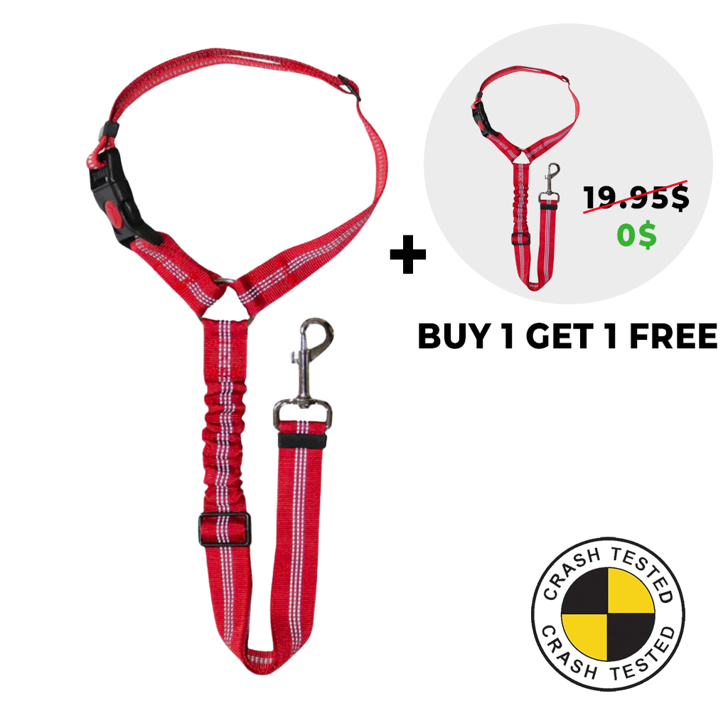 2-in-1 Safety Belt